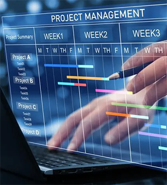IT Infrastructure and Project Based Support