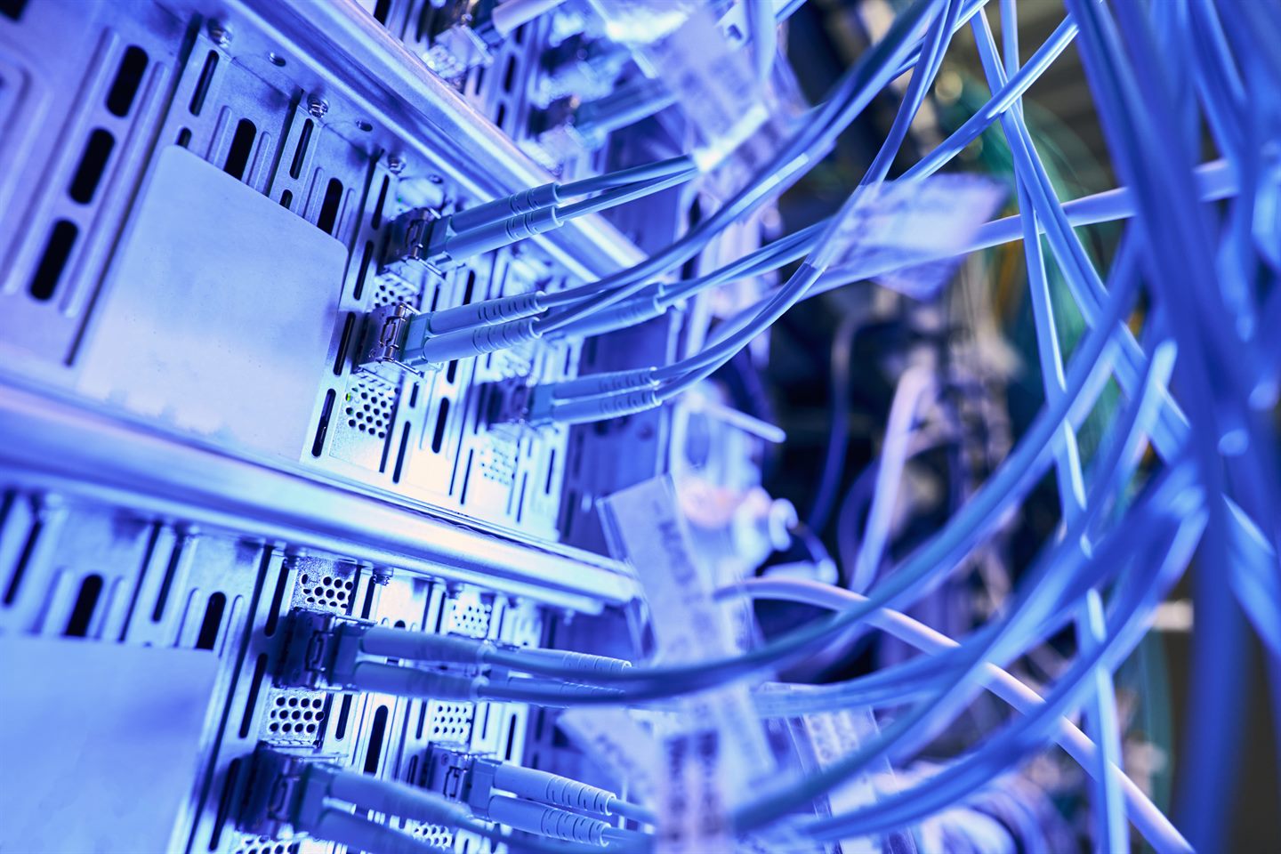 Cables for network infrastructure services.
