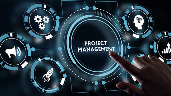 IT Professional Services