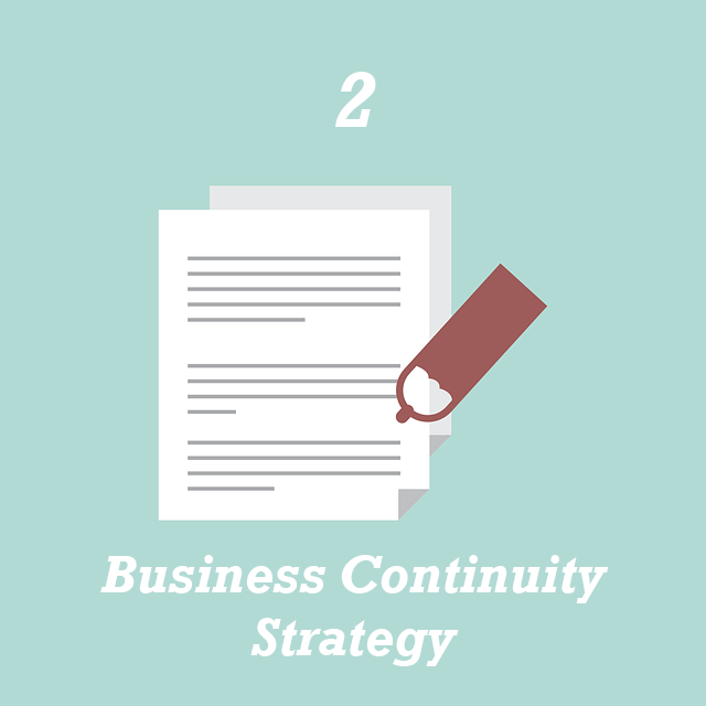 Business Continuity and Stratefgy